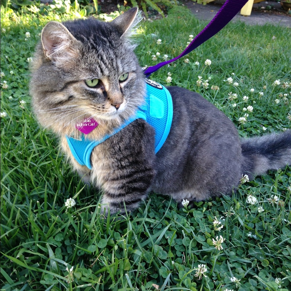 Meet your Posher, Jen